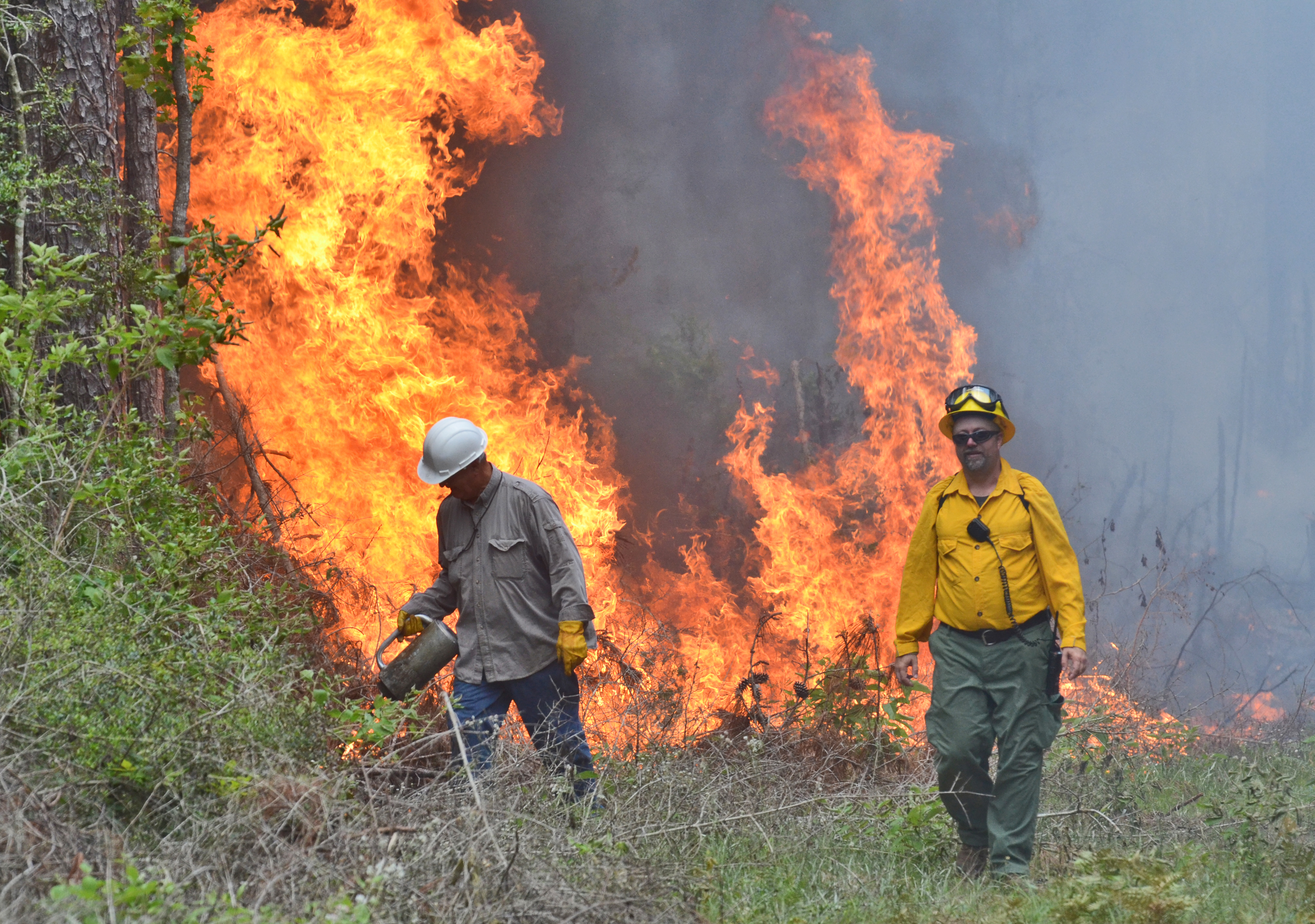 big flames.jpg thumbnail